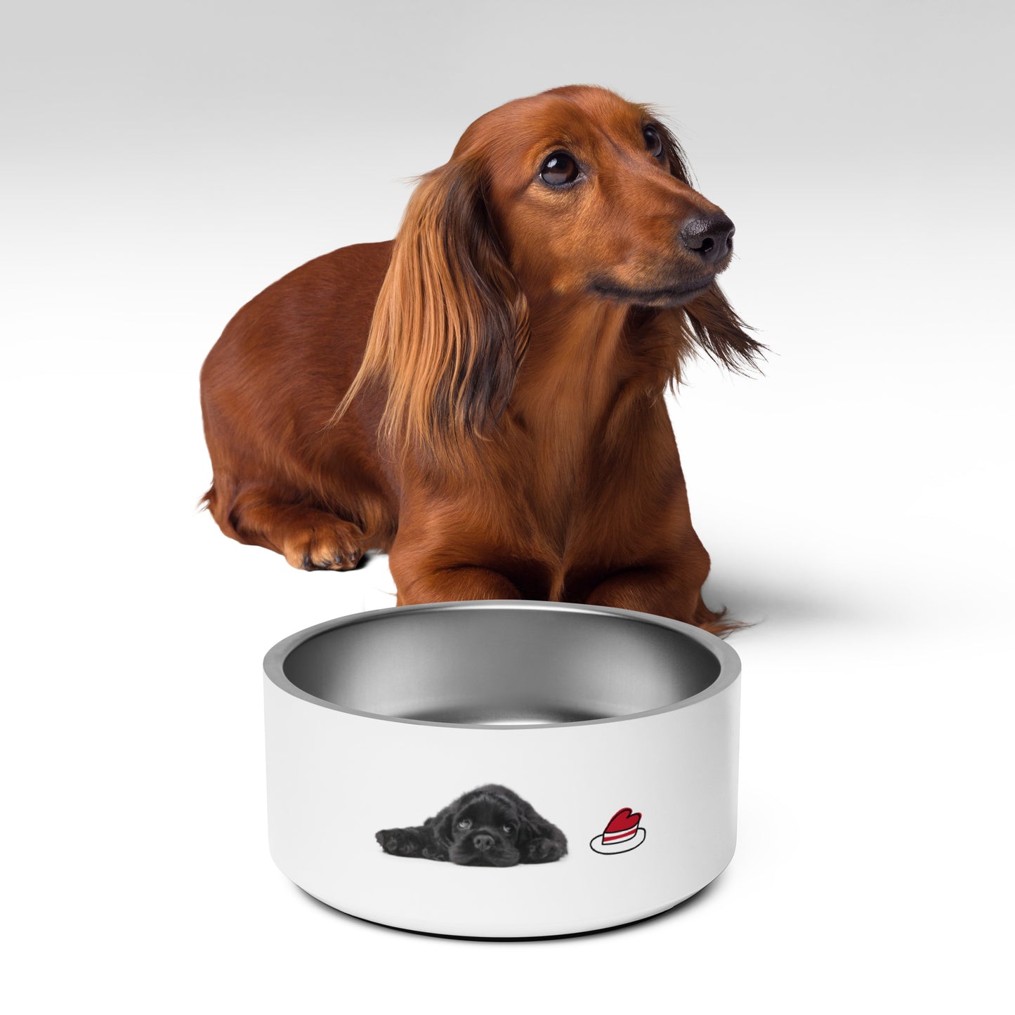 Stainless Steel Pet bowl