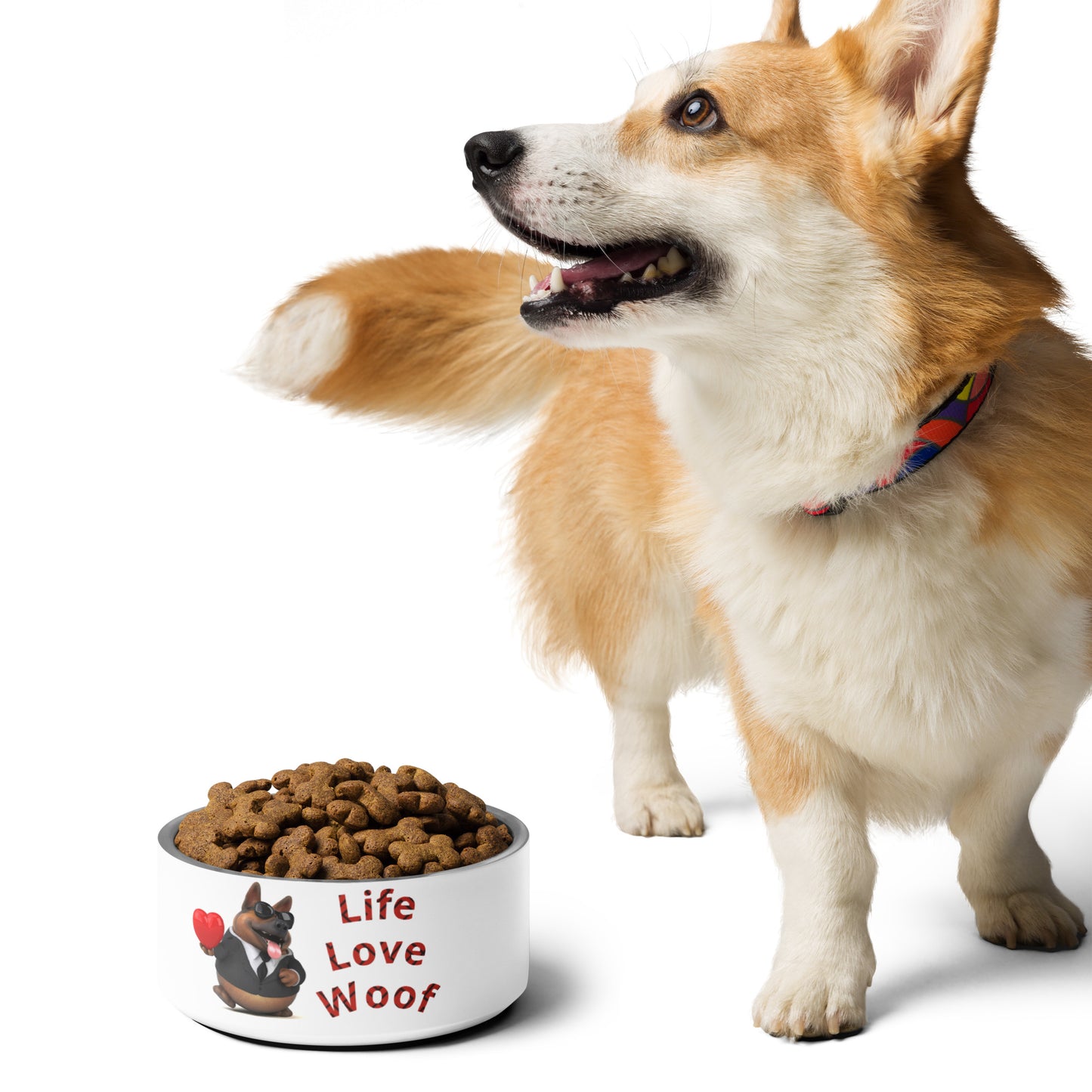 Woof Stainless Steel Pet bowl