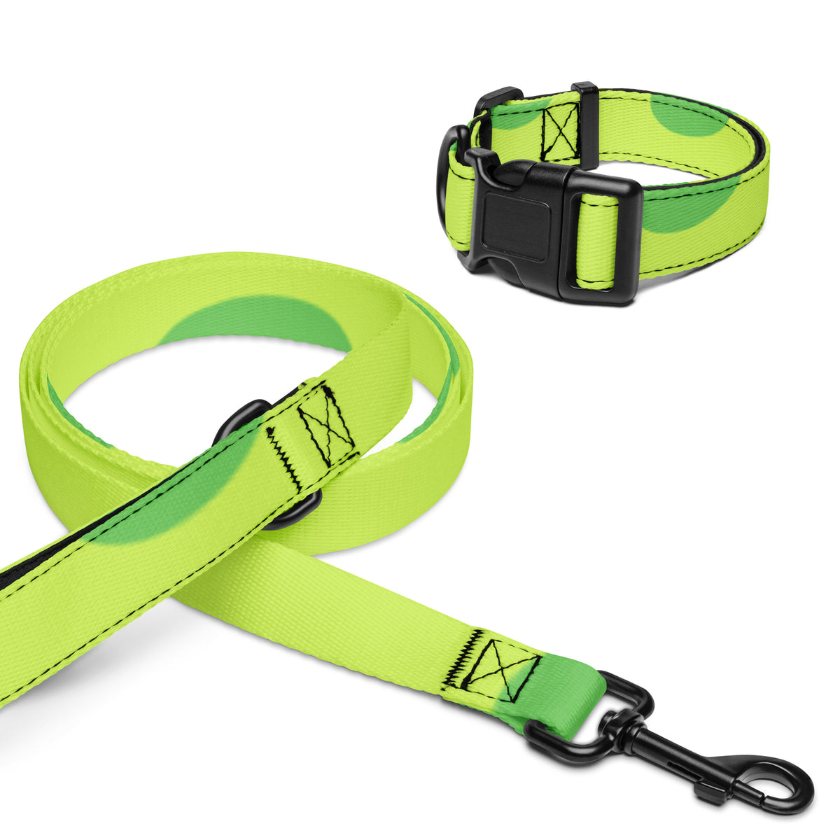 Pet Collar & Leash Set - Green