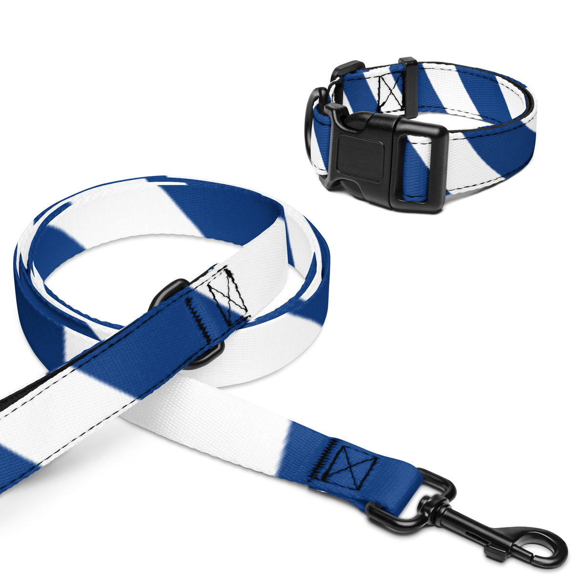 Pet Collar & Leash Set