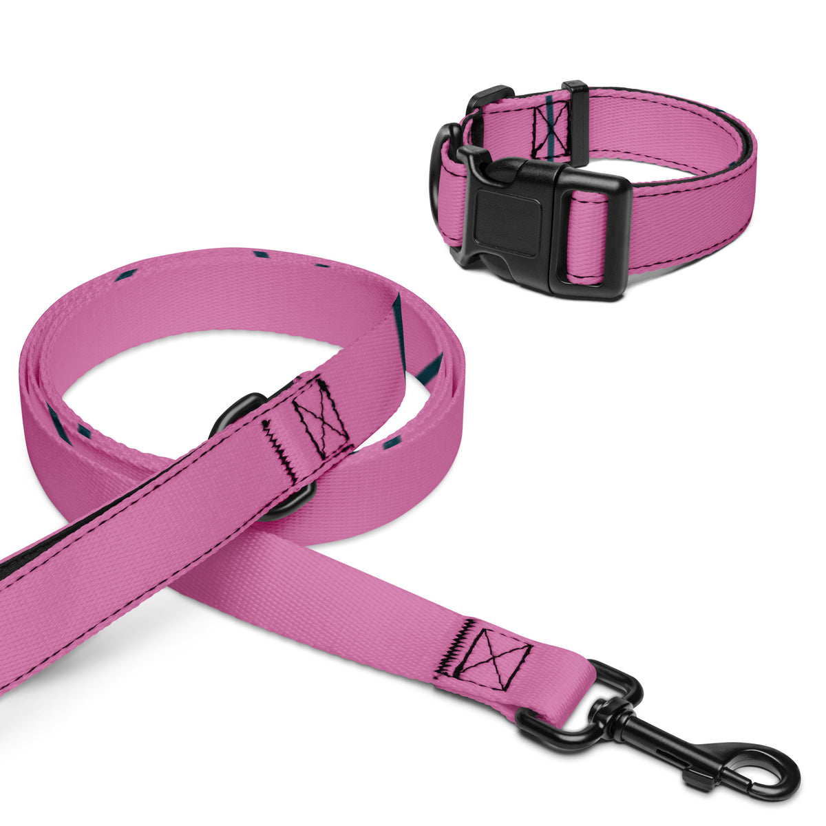 Pet Collar & Leash Set